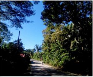 Barangay Dao, Tagbilaran, Bohol