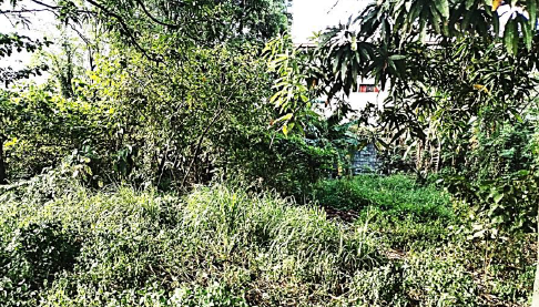 Lot for Lease in  San Fernando City,  Pampanga